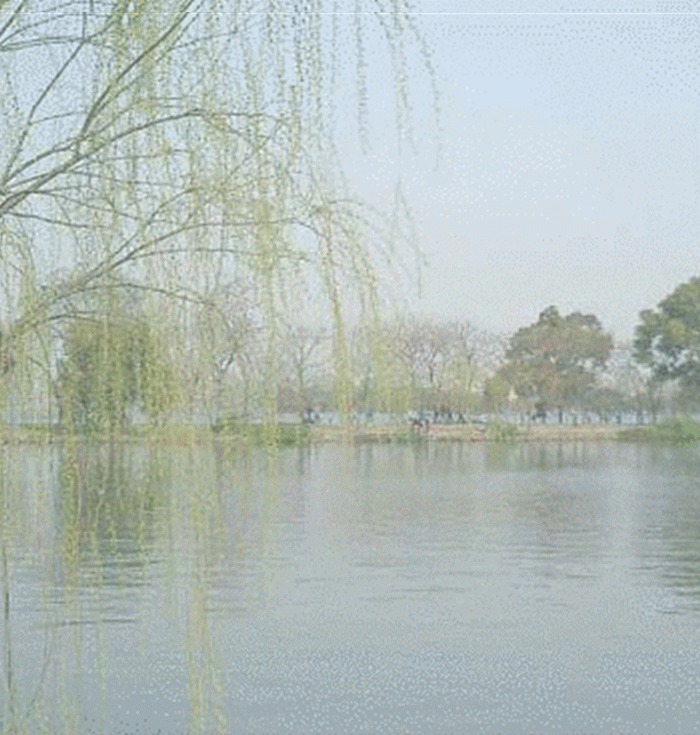 海天盛筵鳝始鳝终:请谈谈刘禹锡的《乌衣巷》表达了怎样的情怀？