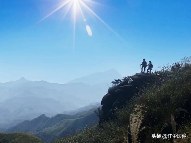 iPhone拍照好吗?大概是什么水平？