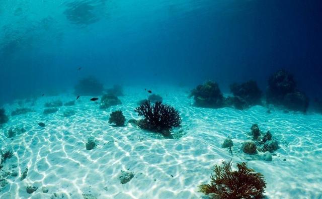 那么往海洋里走,世界上最深的海沟叫做马里亚纳海沟.