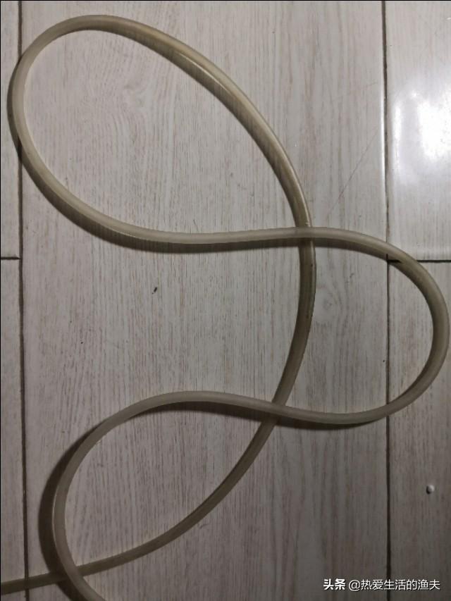 金鱼炸鳞传染其他鱼吗:金鱼可不可以快递？要回家了，可是这养的鱼儿怎么办？