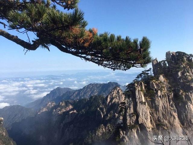 黄山奇松介绍:挂在悬崖峭壁上的黄山十大名松！指的是那十大名松？因什么得名？