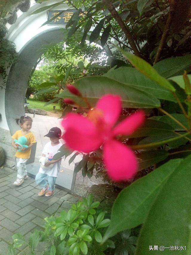 您有写过哪些关于春天的诗词吗？
