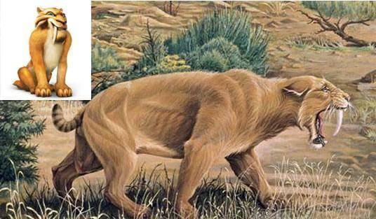 动物演化之谜，老虎祖先是谁呀怎么进化的