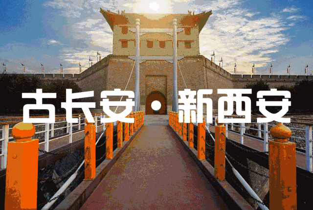 西北藏獒网红王一号:怎么看待西安是一个网红城？