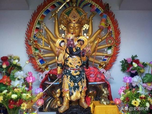 200万代言费1飞升驱虫数据:泉州著名企业德尔惠倒闭了，是不是真的？