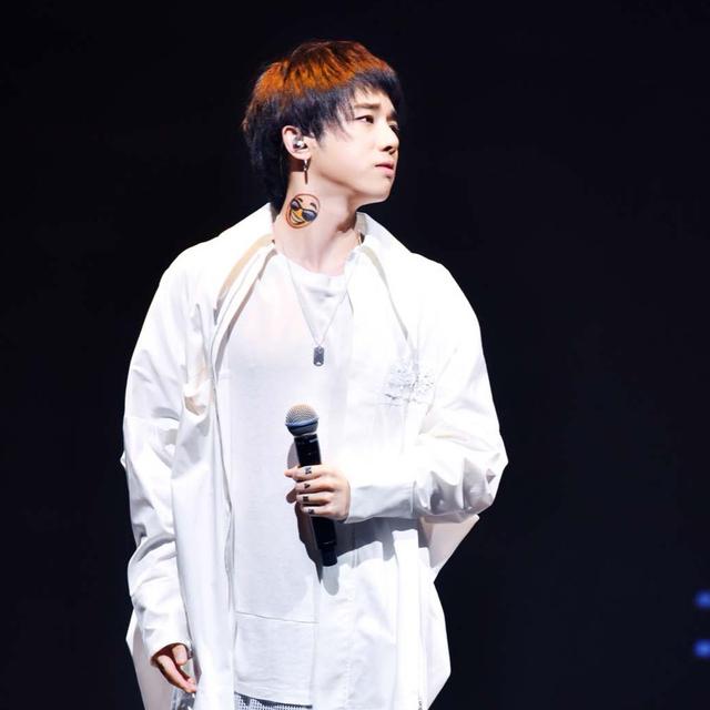 歌手当打之年冠军:《歌手·当打之年》为什么华晨宇总是第一？