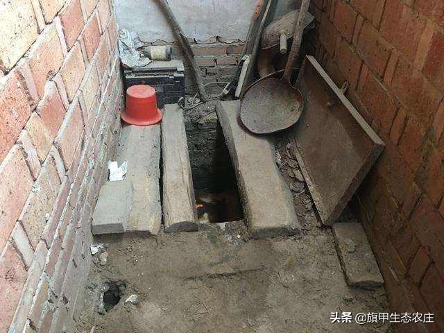 头条问答 - 你见过的农村茅房是什么样子的?(148个回答)