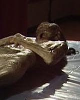 清朝古墓女尸，据说考古学界发现有十大女尸，你如何看待这件事