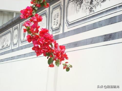 真德秀:《游园不值》表达了诗人怎样的情感？