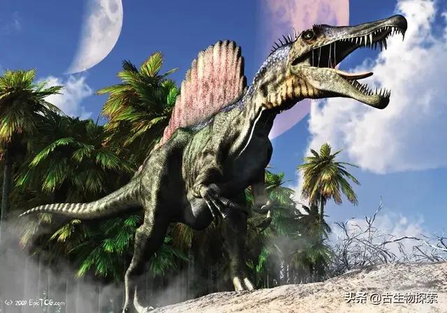 旋齿鲨:地球上有哪些奇异的史前生物？