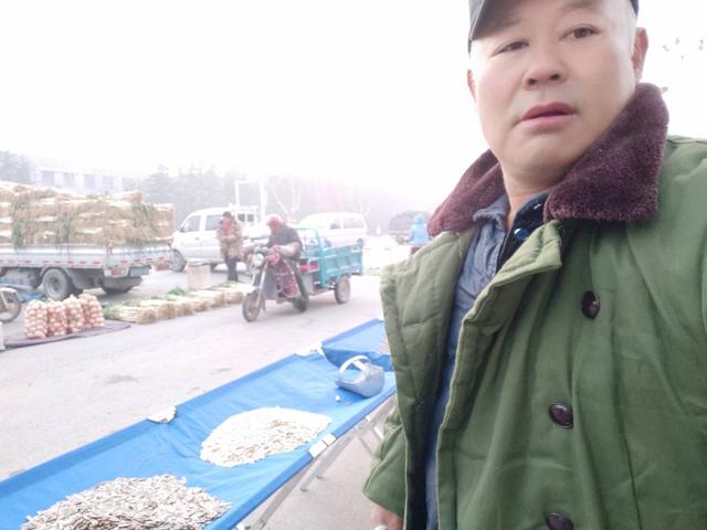 农村被拆了,现在还想过那种养着鸡种着菜的田园生活,该怎么做？