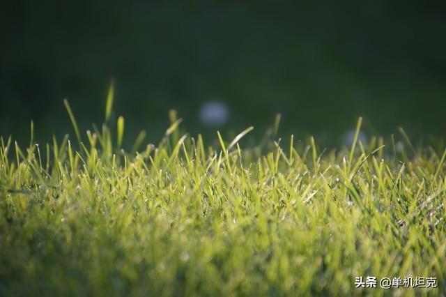 微信<a href=https://maguai.com/list/256-0-0.html target=_blank class=infotextkey><a href=https://maguai.com/list/256-0-0.html target=_blank class=infotextkey>朋友圈</a></a>用语:你<a href=https://maguai.com/list/256-0-0.html target=_blank class=infotextkey><a href=https://maguai.com/list/256-0-0.html target=_blank class=infotextkey>朋友圈</a></a>发过最新<a href=https://maguai.com/list/39-0-0.html target=_blank class=infotextkey><a href=https://maguai.com/list/39-0-0.html target=_blank class=infotextkey>搞笑</a></a>句子是什么？