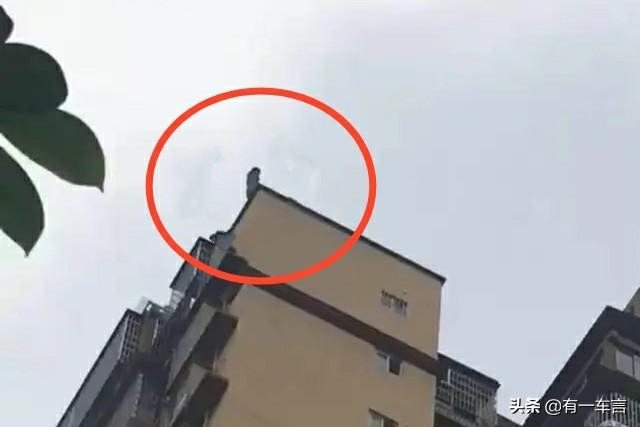 具荷拉生前亲笔信:具荷拉3个小时前被发现自杀去世，怎么评价她的演技？