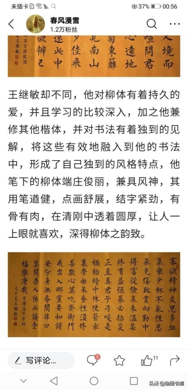 如何评价王继敏先生的柳体书法?-惠修网