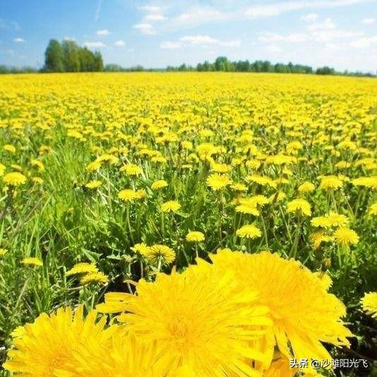 《百家姓》最好听的姓是什么姓？