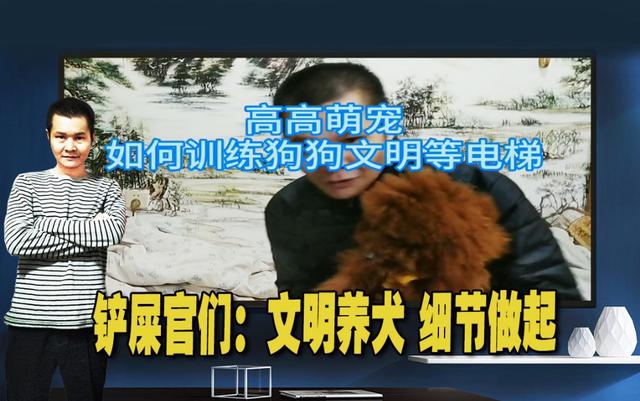 普及宠物狗知识贴:新手饲养狗狗，要注意的事情都有什么？
