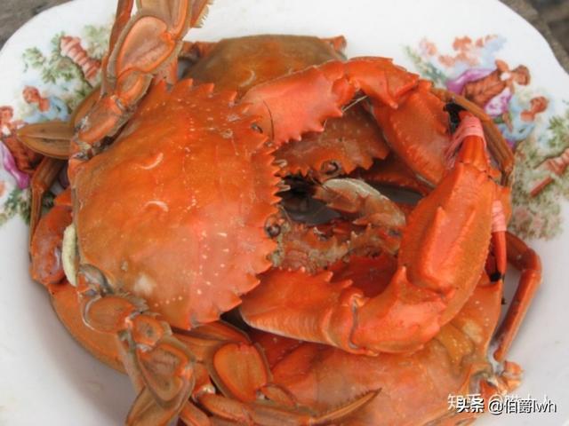 海鱼的做法大全:渤海湾的海鲜都有什么，海鲜都有什么做法？