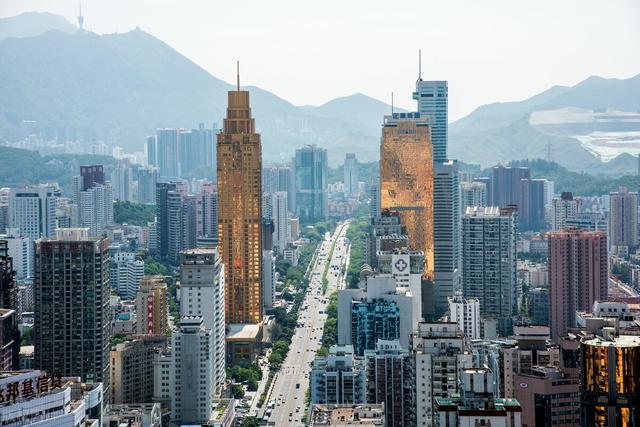 深圳泰迪吧:一直想领养一只泰迪，应该去哪里领养？