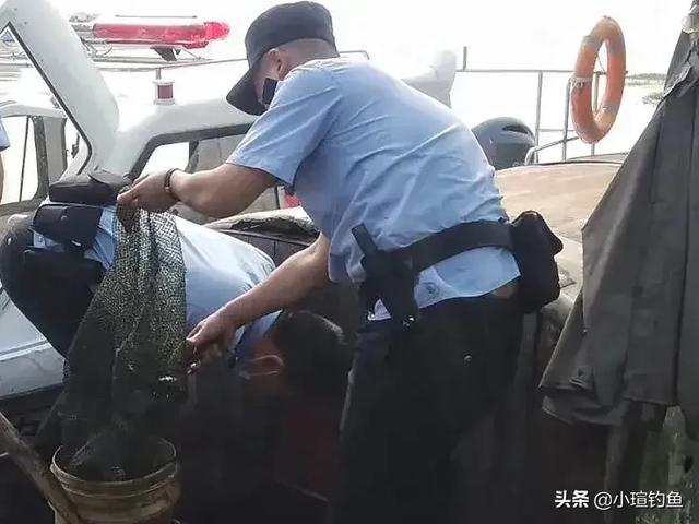 钓鱼猫现身柬埔寨爱捕鱼:什么情况下，鱼最活跃，最适合垂钓？ 钓鱼猫现身柬埔寨