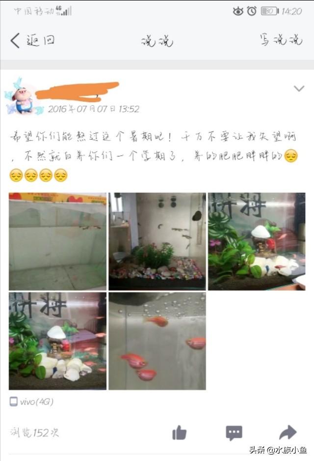 需要出差半月,热带鱼不供氧,不喂食,会出问题吗？