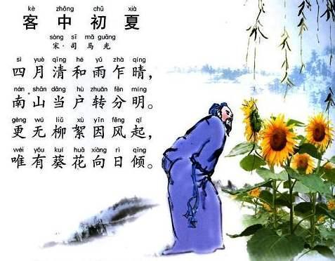 “更无柳絮因风起,惟有葵花向日倾”的古诗意境如何拍摄？