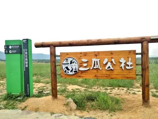 成功案例说明:当前乡村振兴比较成功的案例有哪些？