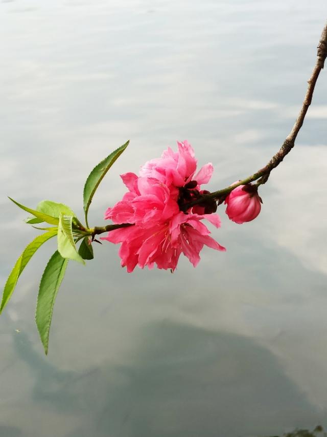 <a href=https://maguai.com/list/256-0-0.html target=_blank class=infotextkey>朋友圈</a>配图正能量:那些<a href=https://maguai.com/list/256-0-0.html target=_blank class=infotextkey>朋友圈</a>整天发“岁月静好”“正能量”的人是什么心态？
