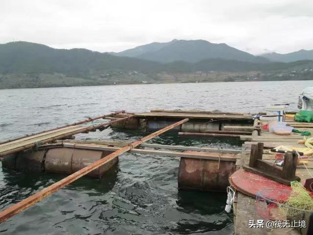 海钓活饵可以用泥鳅:筏钓中，他们挂泥鳅做钓饵，效果真的有那么好吗？