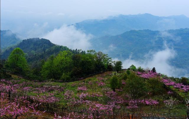 成都龙泉驿飞龙山庄，成都附近好玩的山，最好能够一天往返的有哪些