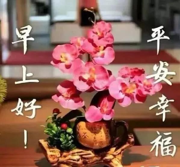 冬天早上好问候语祝福语 冬天早安表情图片大全