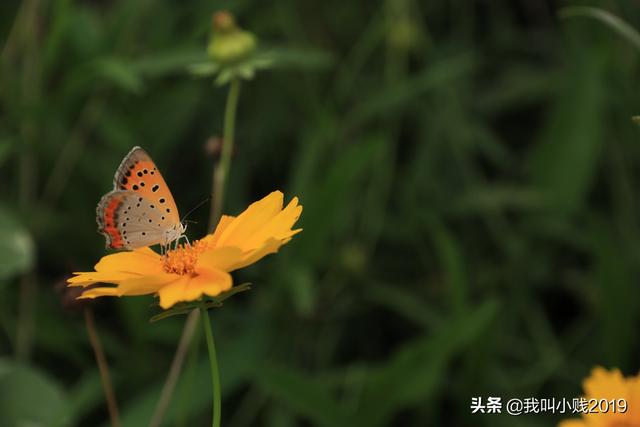 婚纱摄影群:作为摄影爱好者，你有没有很希望加入交流群？