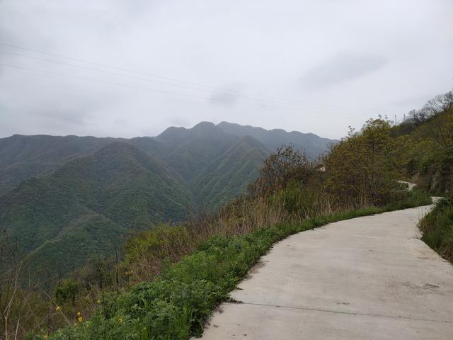 新藤惠美:地里长了许多葛根藤，怎么清除？