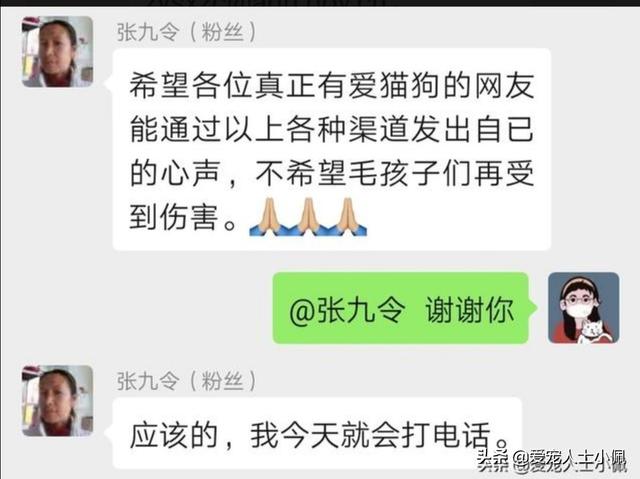 12条狗被投毒:小区里有人讨厌狗狗，投毒致数十条狗狗死亡，这些都不用负责吗？