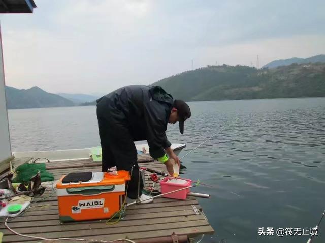 海钓活饵可以用泥鳅:筏钓中，他们挂泥鳅做钓饵，效果真的有那么好吗？