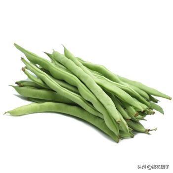现在正是吃四季豆的季节,需要注意些什么？