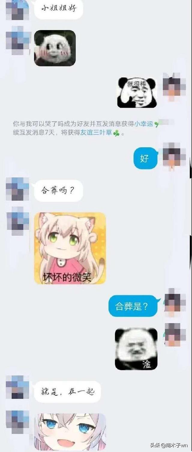 美女遛狗露胸:唐代女子是喜欢穿半露胸式裙装吗？你怎么看？ 美女遛狗视频