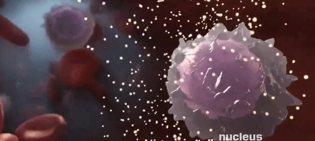 寄生虫感染的免疫:寄生虫感染的免疫类型 hiv主要侵害哪种细胞？主要有哪些症状？