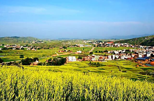 天安社四哥被判几年:在看守所一年多想什么最多