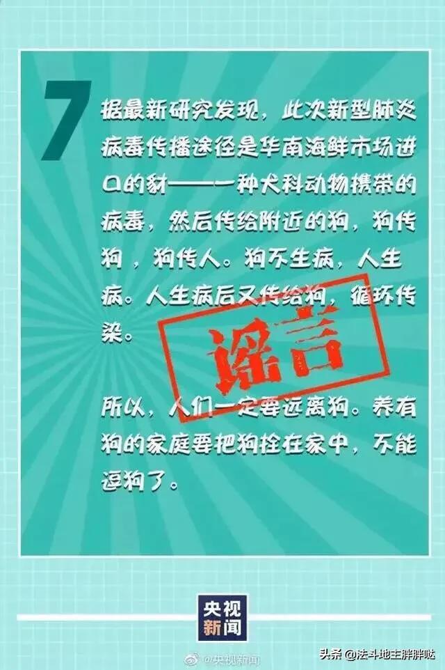 人会携带犬冠状病毒么:家里的宠物会成为传染源么，还能正常遛狗么？