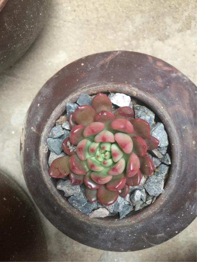 孩子脾气暴躁风水化解,面对脾气暴躁的宝宝，妈妈要如何应对？