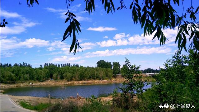使用手机拍摄，使用“前景”有什么技巧
