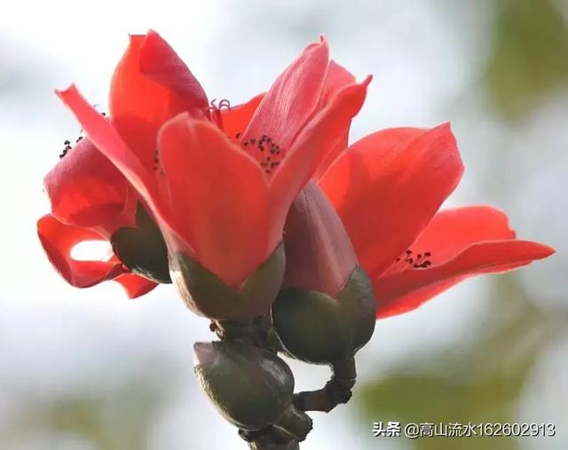 东郊美树苑:立春节气将至，“立春”是什么意思？立春后还会冷吗？