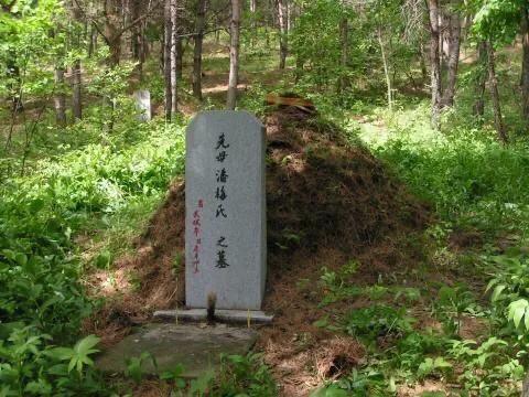 旺女儿女婿的墓地风水,女婿莫上坟，上坟惹先人是嘛意思？