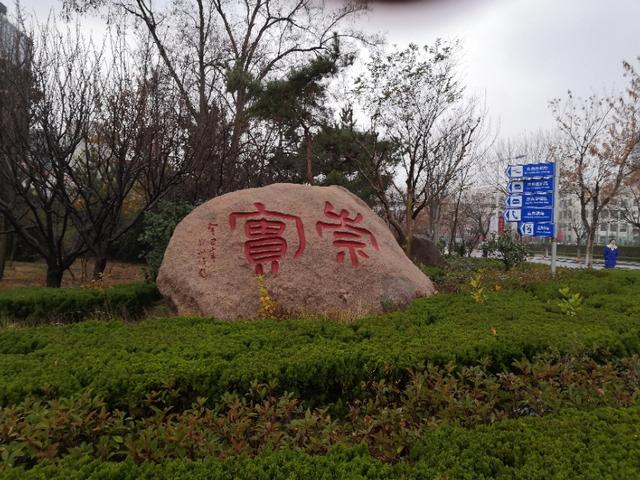 年轻人应该奋斗还是颓废？