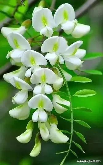 嘉宾国学八字课堂博客,当今世界学历重要还是能力重要？