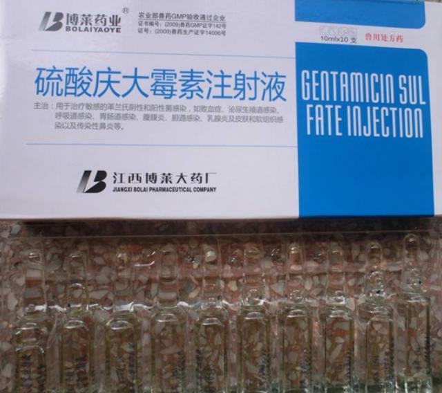 断奶小狗拉稀吃什么药:猪仔断奶后拉稀怎么办，该如何防治？ 断奶的小狗拉稀什么原因