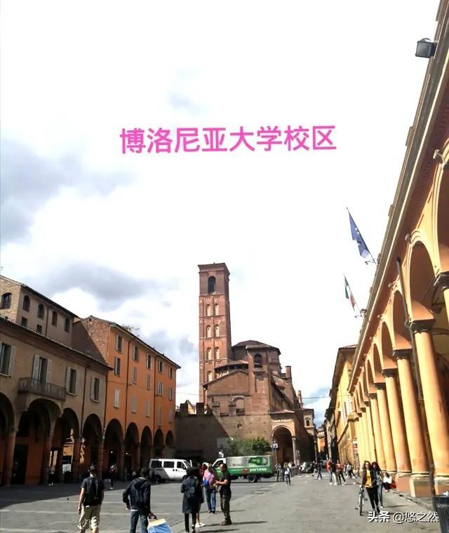 博洛尼亚犬:意大利的博洛尼亚是一个怎样的城市呢？