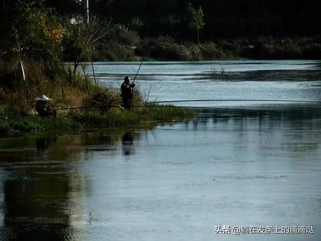 网络适老化首批改造进展如何，有一些地方农房改造大量采用树脂瓦，树脂瓦真有这么好？