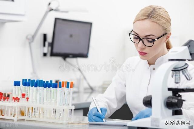 技术总监是干什么用的？