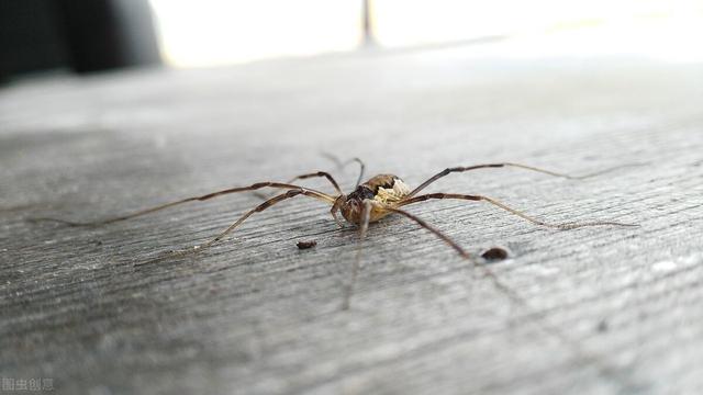 住一楼真实感受,住在2楼是什么样的体验？